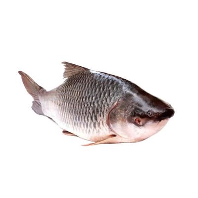 Rui Fish 2kg রুই মাছ_img_0
