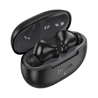 Hoco EQ24 Estrella Wireless Bluetooth Earbuds_img_1