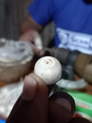 তুলসি নিম বেলের মালার প্রোডাকশন_img_3