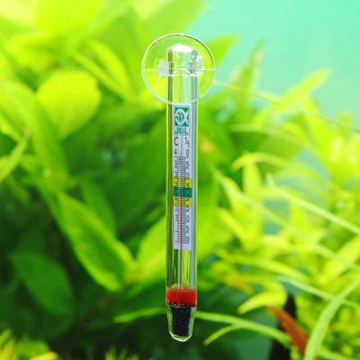 aquarium glass thermometer (analogue)_img_0
