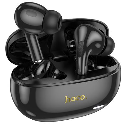 Hoco EW60 Plus ANC TWS Earbuds_img_0