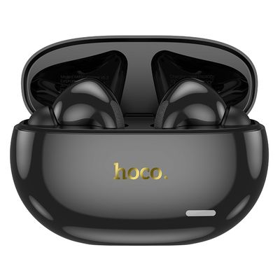 Hoco EW60 Plus ANC TWS Earbuds_img_1