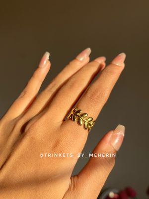 Stainless steel ring 6.0_img_1