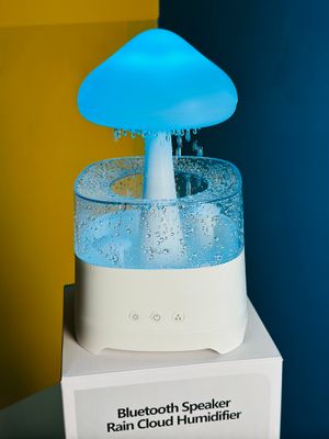 5 IN 1 Bluetooth Speaker Rain Cloud Humidifier, switchable 7 colors, 450ml capacity super quiet, intelligent anti-dry function_img_0