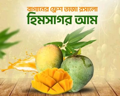 সাতক্ষীরার বিখ্যাত হিমসাগর আম।_img_0