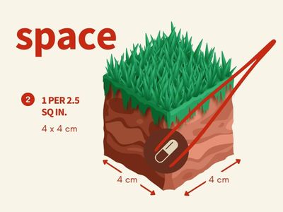 Apt Jazz  (18 capsule)_img_1