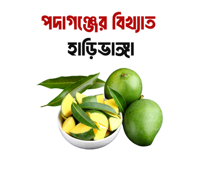 হাড়িভাঙ্গা আম (আধা পাকা) ৫ কেজি_img_0