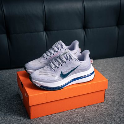 Nike Pegasus Premium (1:1)_img_3