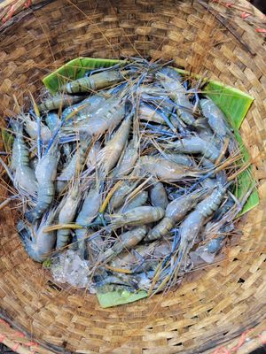 নদীর চিংড়ি (বিগ সাইজ)