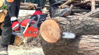 MPT 16" Electric Chain Saw, 2000W, Model: MECS1601_img_3