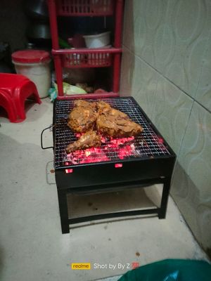Mini Portable BBQ Grill Easy To Carry TL 372_img_1