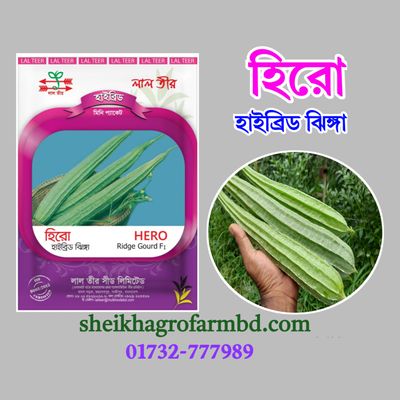 হিরো (হাইব্রিড ঝিঙ্গা)- মিনি প্যাকেট_img_0