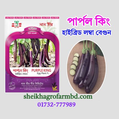পার্পল কিং (হাইব্রিড বারোমাসি বেগুন)- মিনি প্যাকেট_img_1