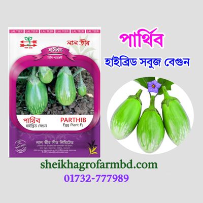 পার্থিব (হাইব্রিড বারোমাসি বেগুন)- মিনি প্যাকেট_img_0