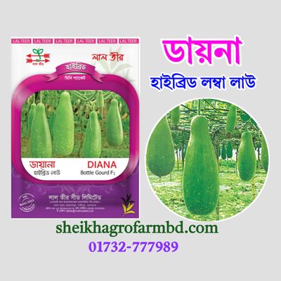 ডায়না (বারোমাসি হাইব্রিড লম্বা লাউ)- মিনি প্যাকেট_img_0