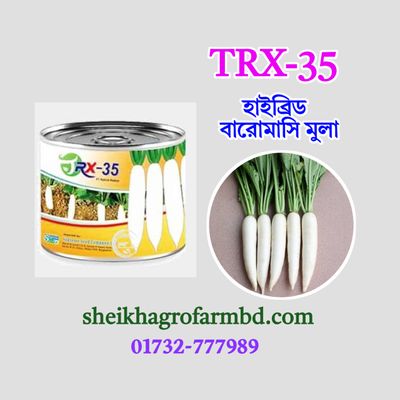 TRX-35 (হাইব্রিড বারোমাসি মুলা)- ১০০ গ্রাম ক্যান_img_0