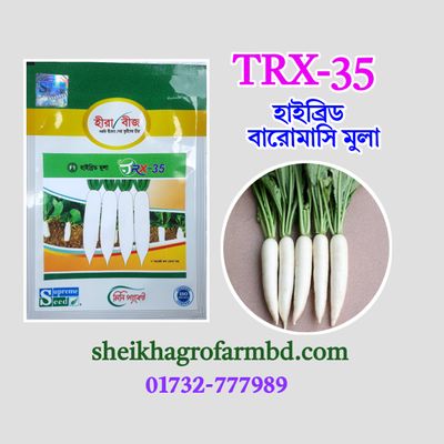 TRX-35 (হাইব্রিড বারোমাসি মুলা)- মিনি প্যাকেট_img_0