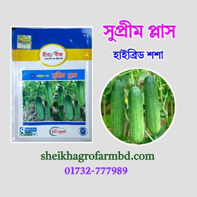 সুপ্রীম প্লাস (হাইব্রিড শশা)- মিনি প্যাকেট_img_0