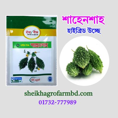 শাহেনশাহ ( হাইব্রিড উচ্ছে করলা)- মিনি প্যাকেট_img_0