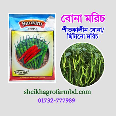 বোনা মরিচ (ছিটানো মরিচ-IR8)_img_0