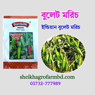 বুলেট (ইন্ডিয়ান বুলেট মরিচ)_img_0
