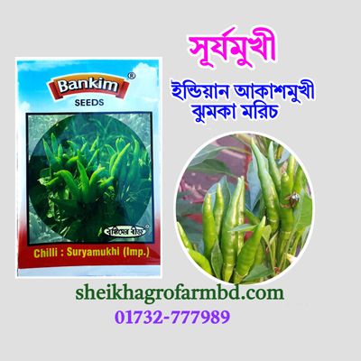 সূর্যমুখী (আকাশমুখী মরিচ)_img_0