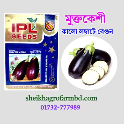 মুকোকেশী (কালো বেগুন)_img_0
