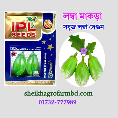 সবুজ লম্বা বেগুন_img_0