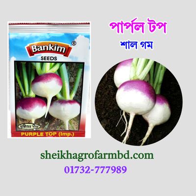 শাল গম_img_0
