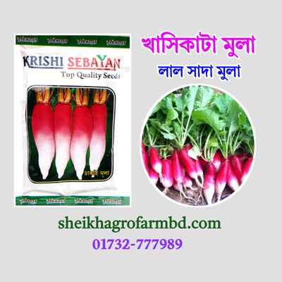 লাল সাদা মুলা_img_0