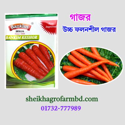 গাজর_img_0