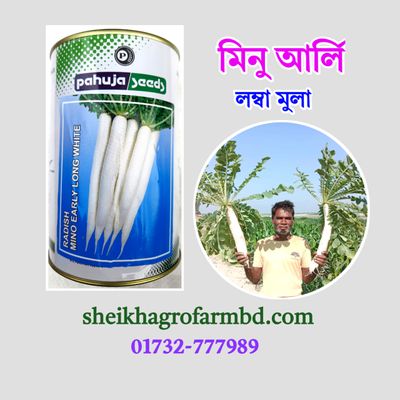 মিনু আর্লি (উচ্চফলনশীল দেশি মুলা)_img_0