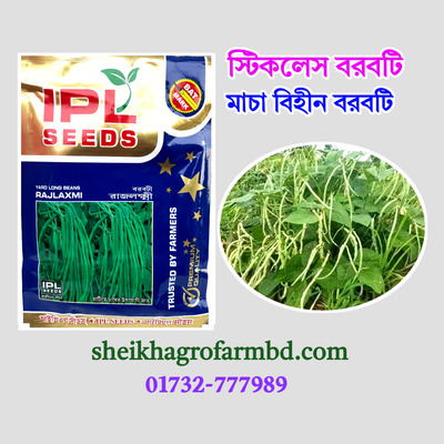 মাচাবিহীন বরবটি_img_0