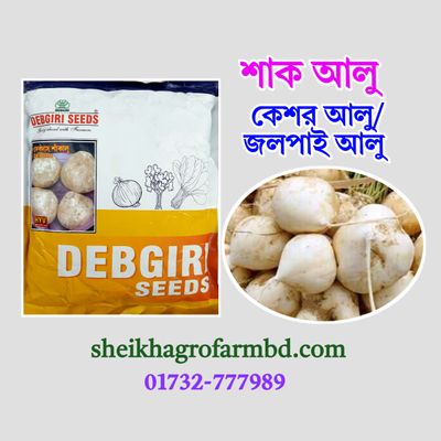জলপাই আলু / শাক আলু_img_0