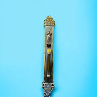 Main Door Lock_img_13