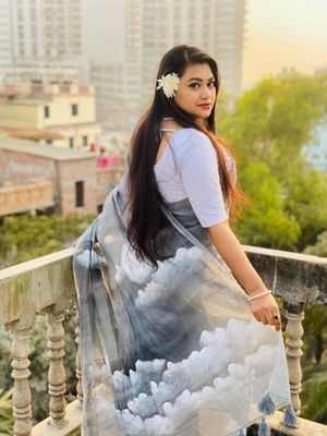 ধুসর মেঘ (শাড়ি)_img_2