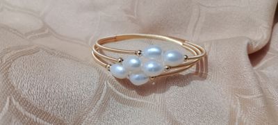Pearl Adjustable Breslate_img_0