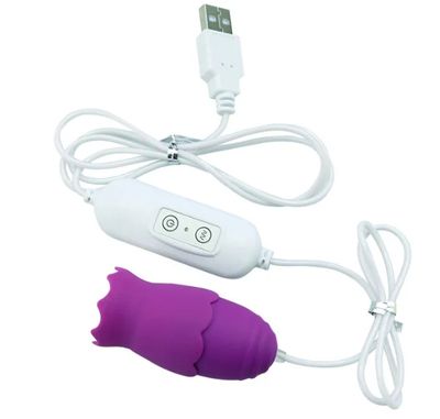 12 Modes Tongue Licking Vibrating Love Egg USB Plug G-spot Vagina Massage Vibrator Oral Clitoris Stimulator Sex Toys for Women_img_5