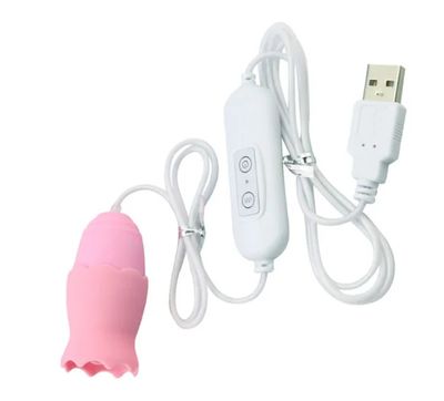 12 Modes Tongue Licking Vibrating Love Egg USB Plug G-spot Vagina Massage Vibrator Oral Clitoris Stimulator Sex Toys for Women_img_9