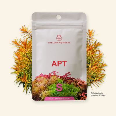 APT S 45gm_img_0