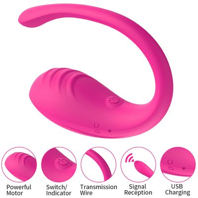 9 Speed APP Controlled Vaginal Vibrators G Spot Anal Vibrating Egg Massager Wearable Stimulator Adult Sex Toys for Women Couples_img_2