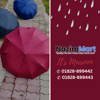 Classic Umbrella Max | 30 Rib Automatic Fold Luxury Umbrella | Men, Women Dual Use Large Folding Umbrella Uv Protection | ছাতা_img_3