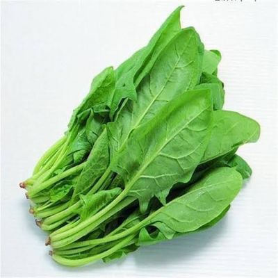 পালং শাকের বীজ / Palak Seeds_img_0