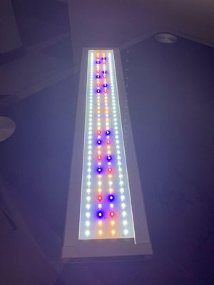 Neo helios- touch control (2 feet-35watt)_img_1