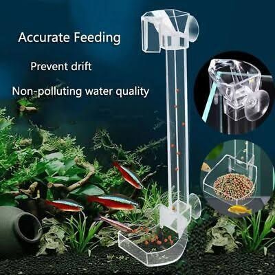 Fish feeding Tube_img_0