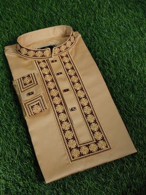 Premium Sequence Panjabi_img_1