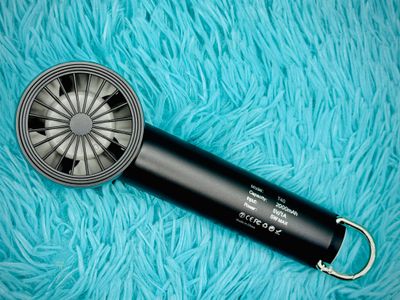 T40 Probable Hand Fan_img_2