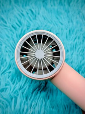 T40 Probable Hand Fan_img_1