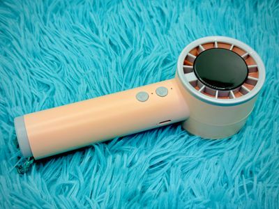 T40 Probable Hand Fan