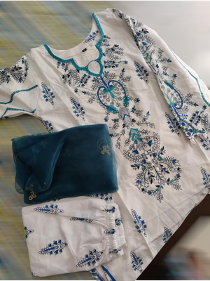 Eid Exclusive Three piece  | Stitched_img_2